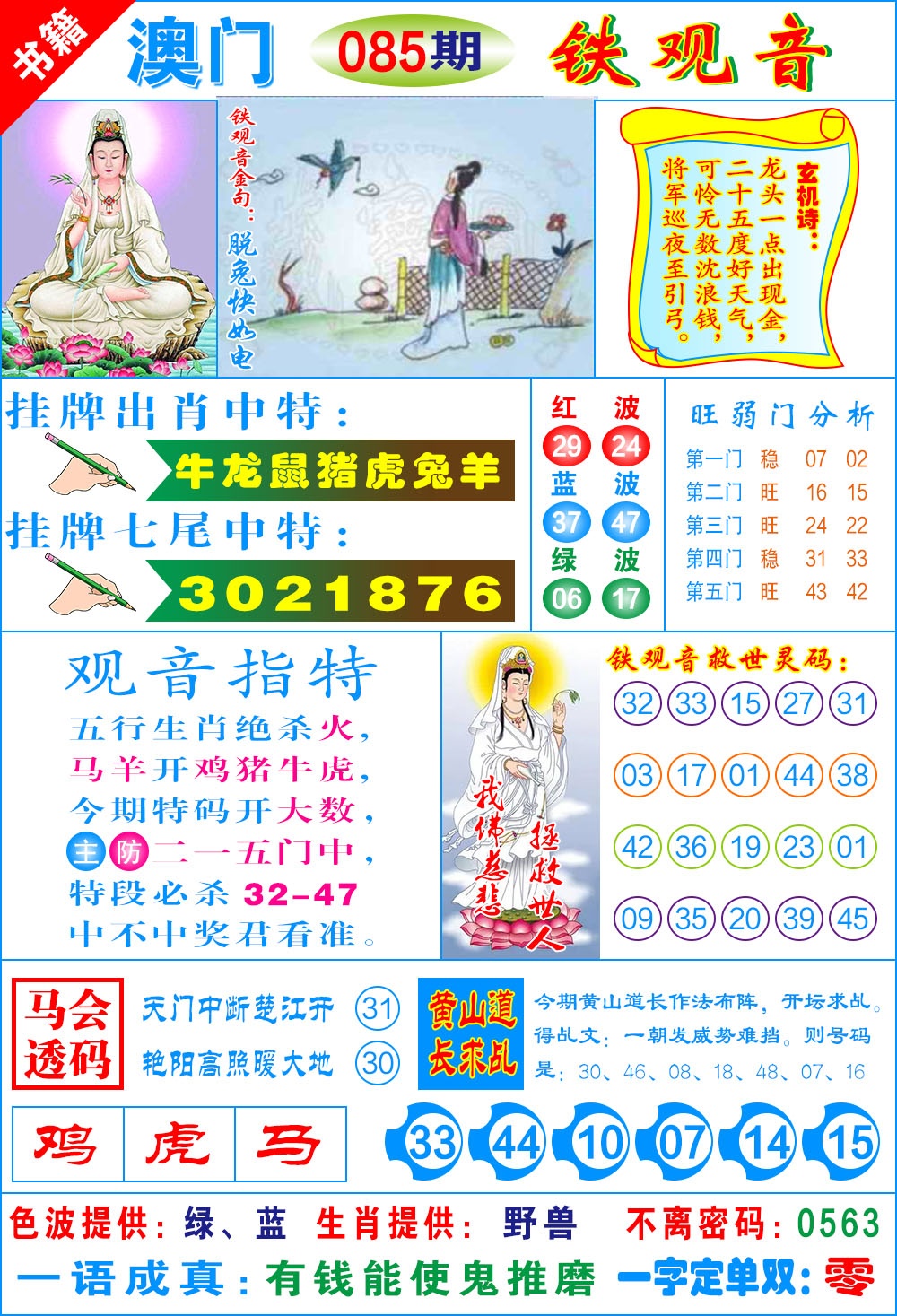 085期澳门铁观音[图]